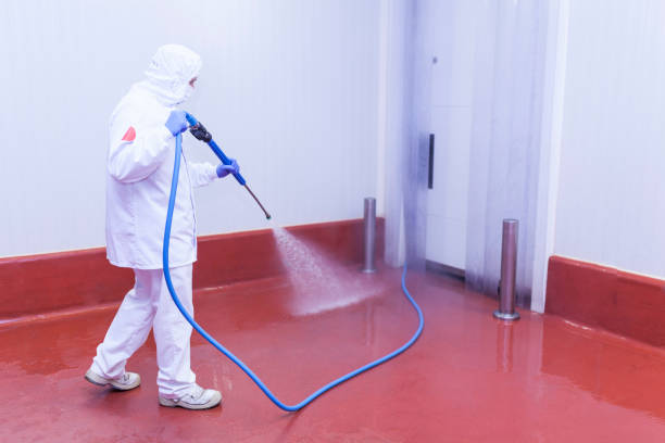 Best Building Exterior Washing  in Middletown, PA